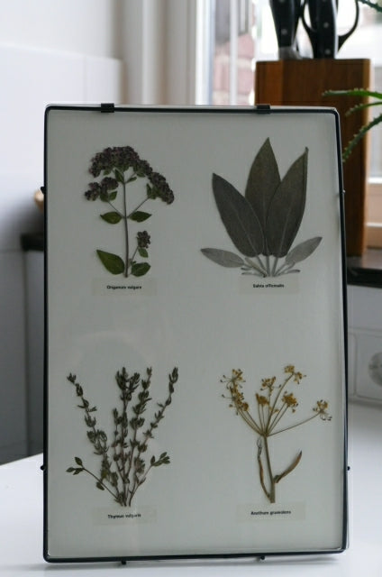 Afbeelding in Gallery-weergave laden, 4 you kruiden