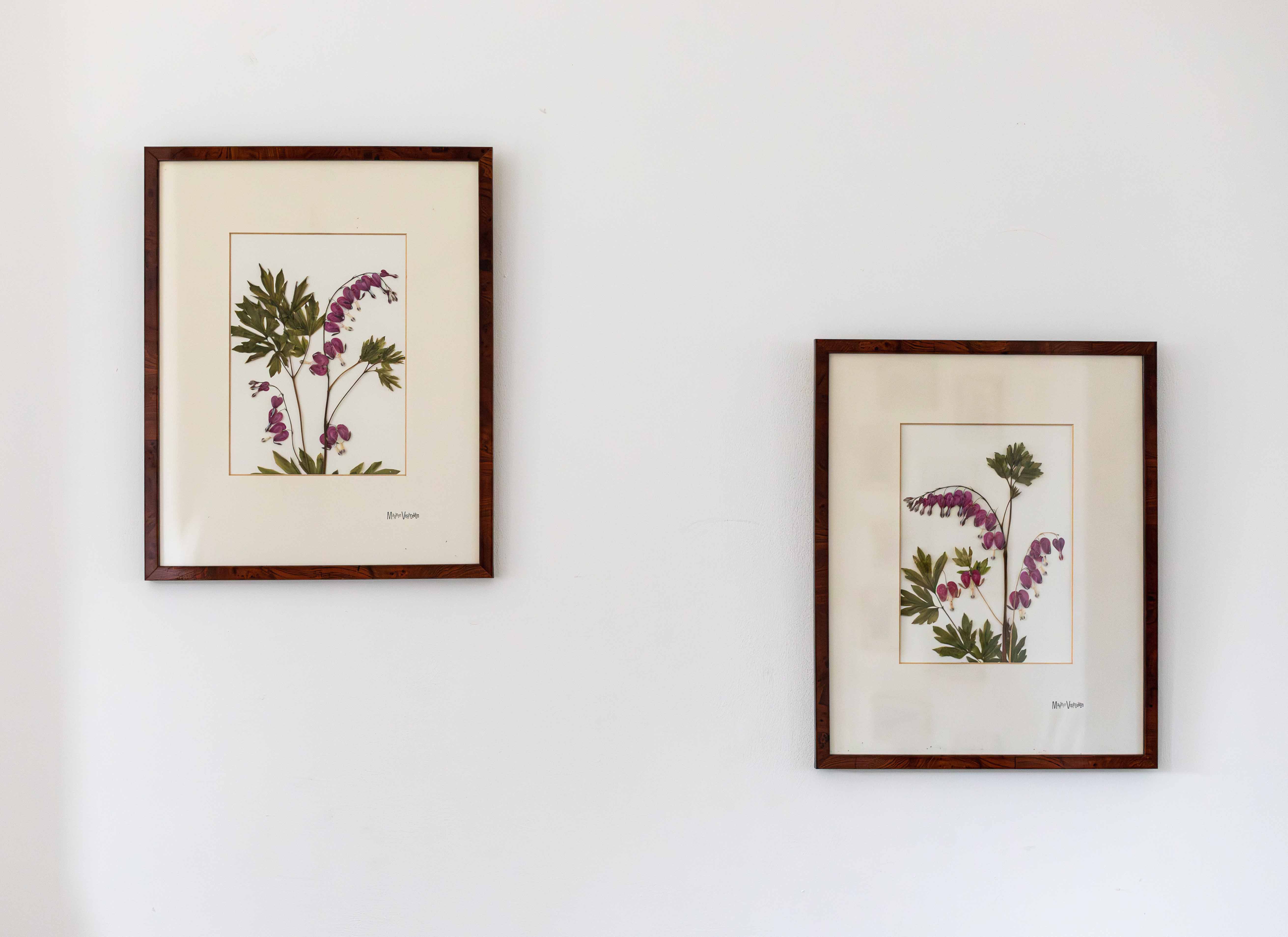 Afbeelding in Gallery-weergave laden, Dicentra spectabilis