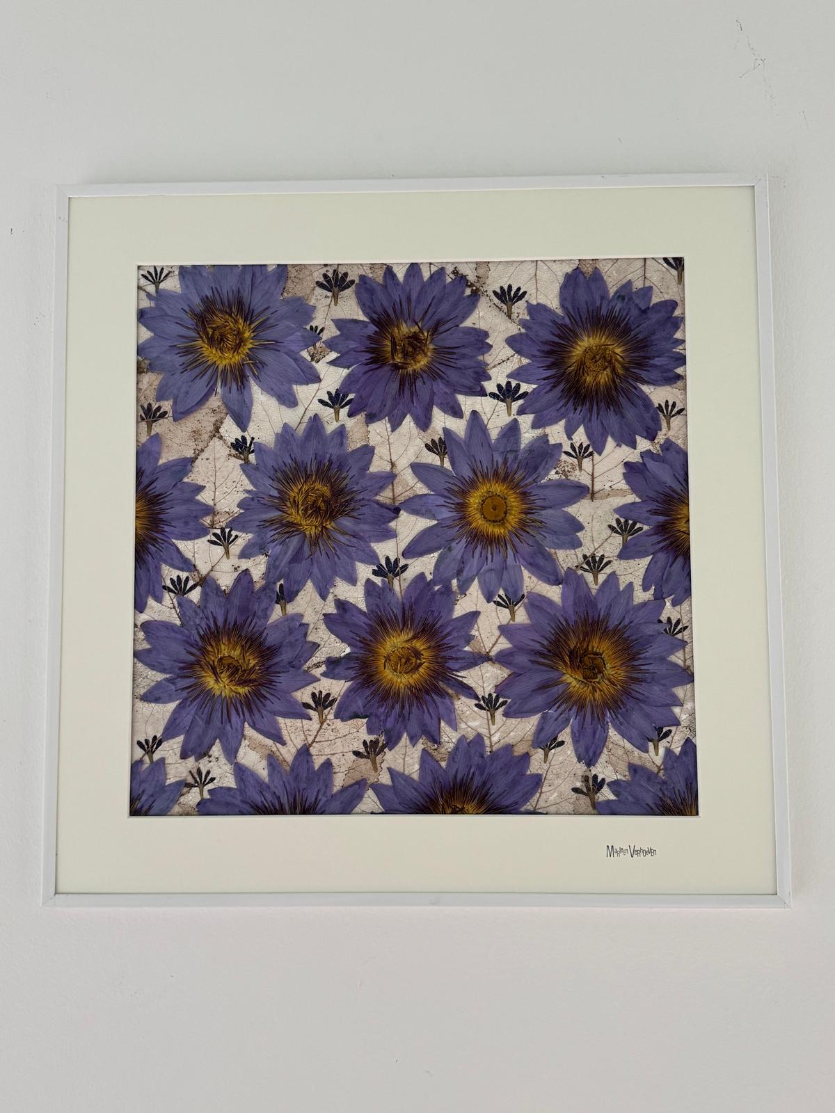 Afbeelding in Gallery-weergave laden, Nymphaea
