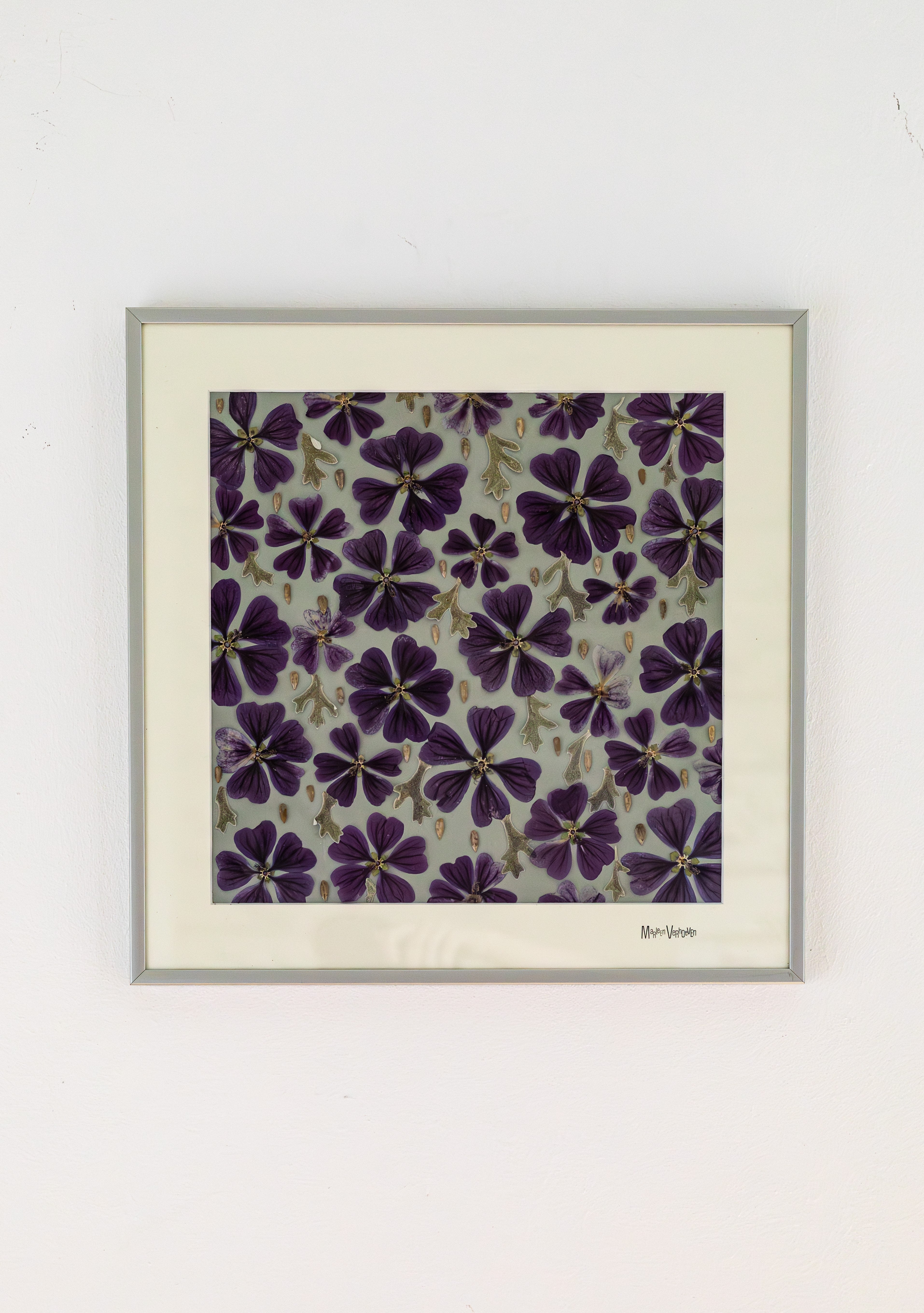 Afbeelding in Gallery-weergave laden, Malva sylvestris
