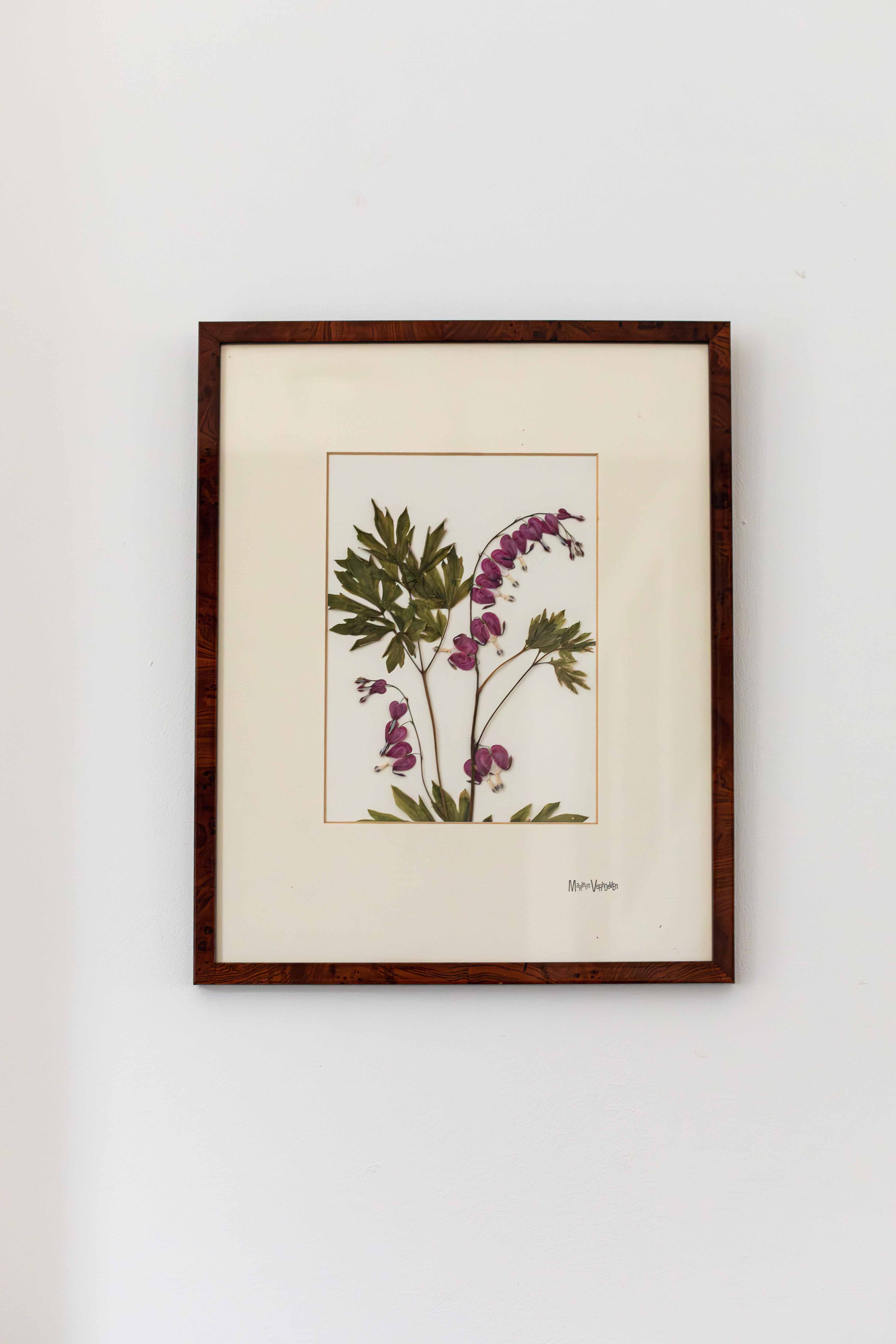 Afbeelding in Gallery-weergave laden, Dicentra spectabilis
