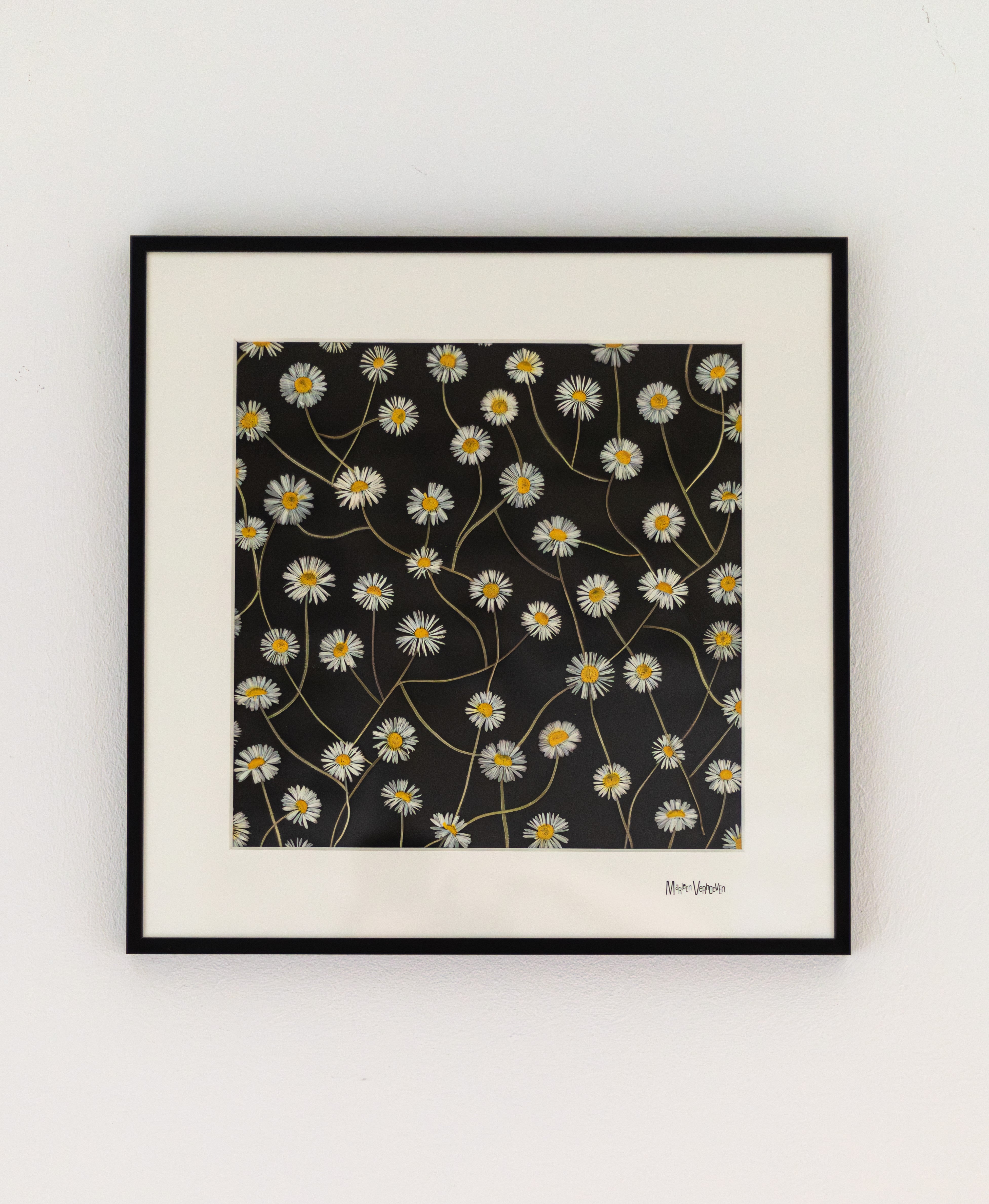 Afbeelding in Gallery-weergave laden, Bellis perennis
