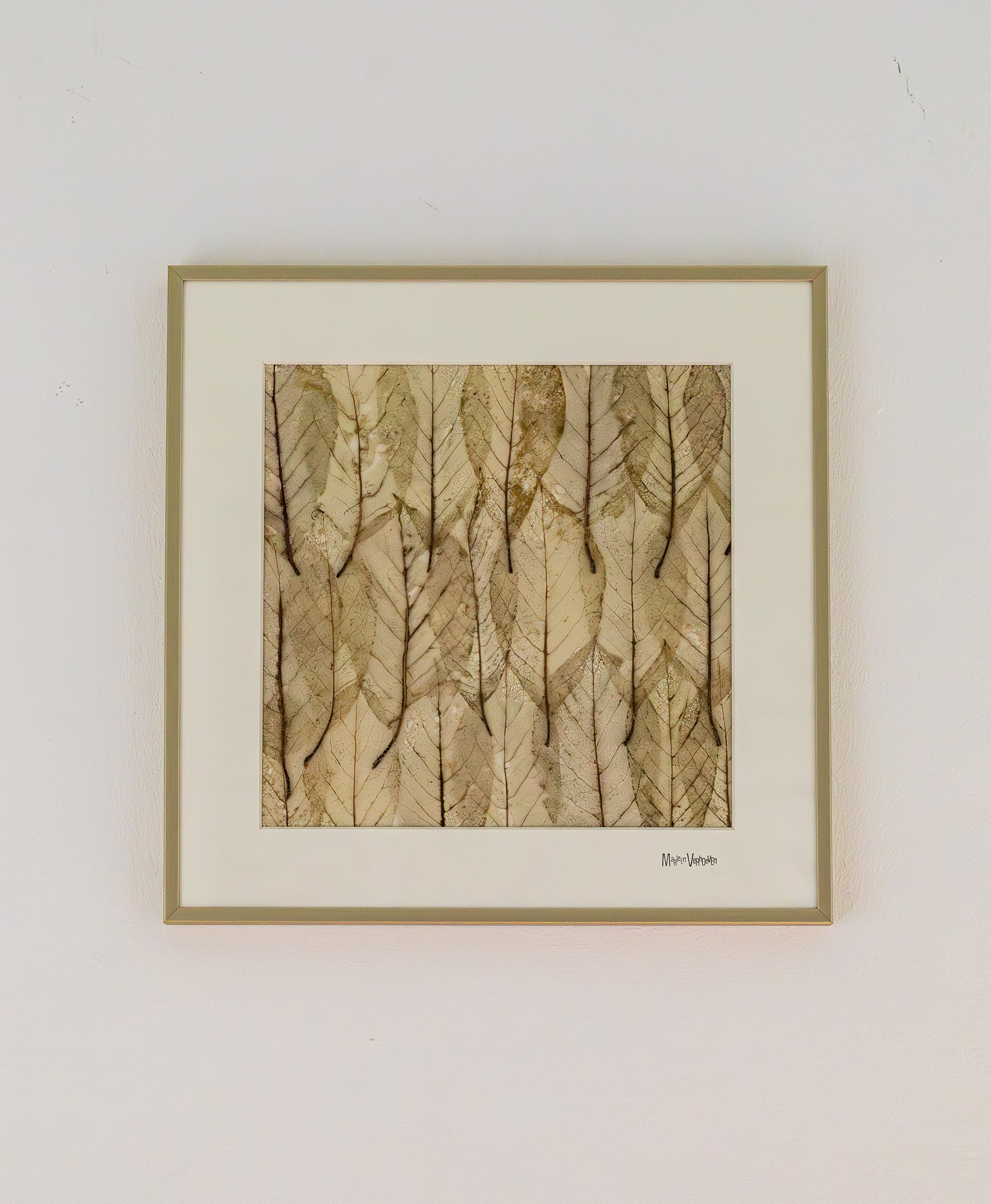 Afbeelding in Gallery-weergave laden, Magnolia x soulangeana

