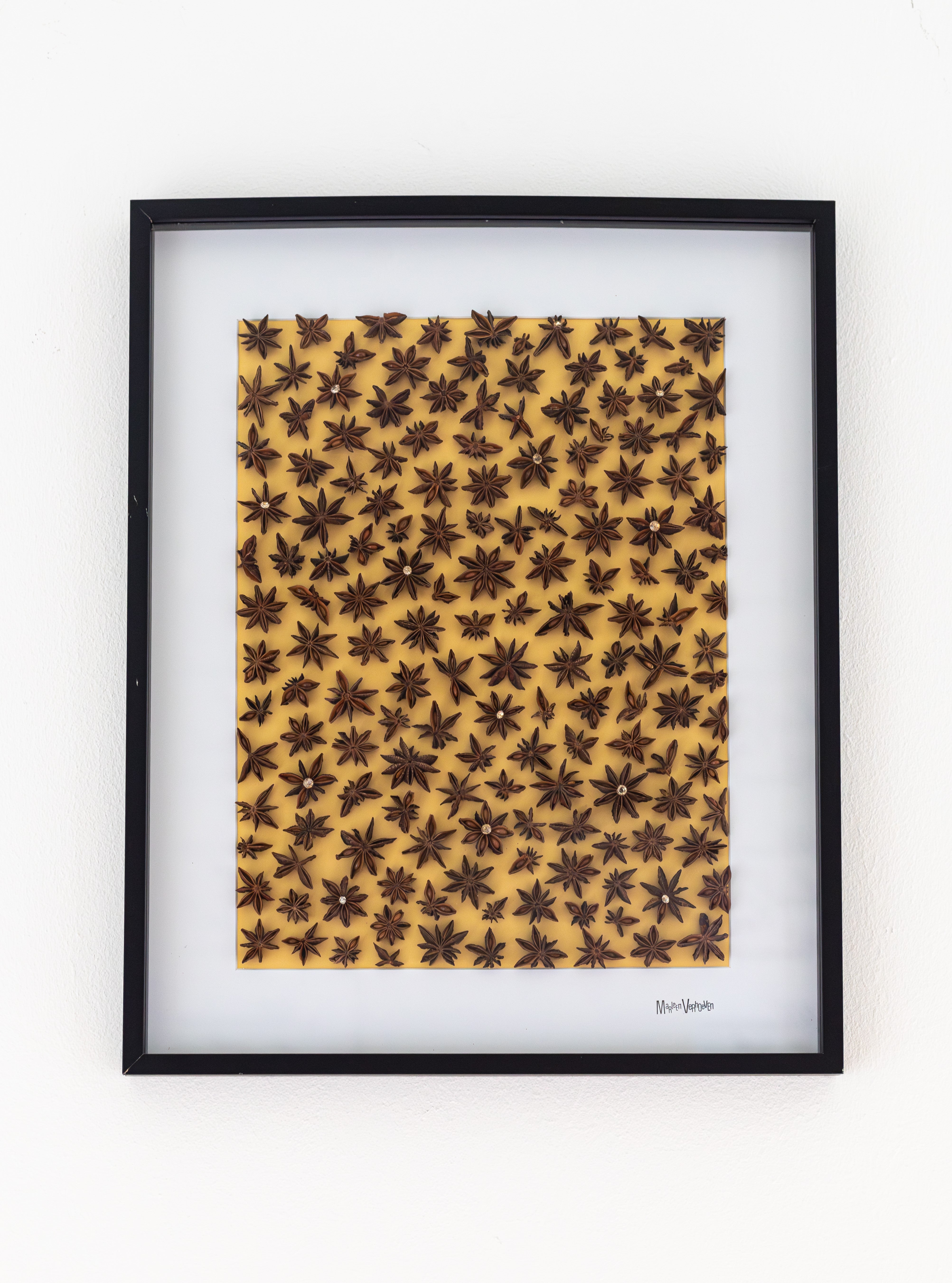 Afbeelding in Gallery-weergave laden, Illicium verum
