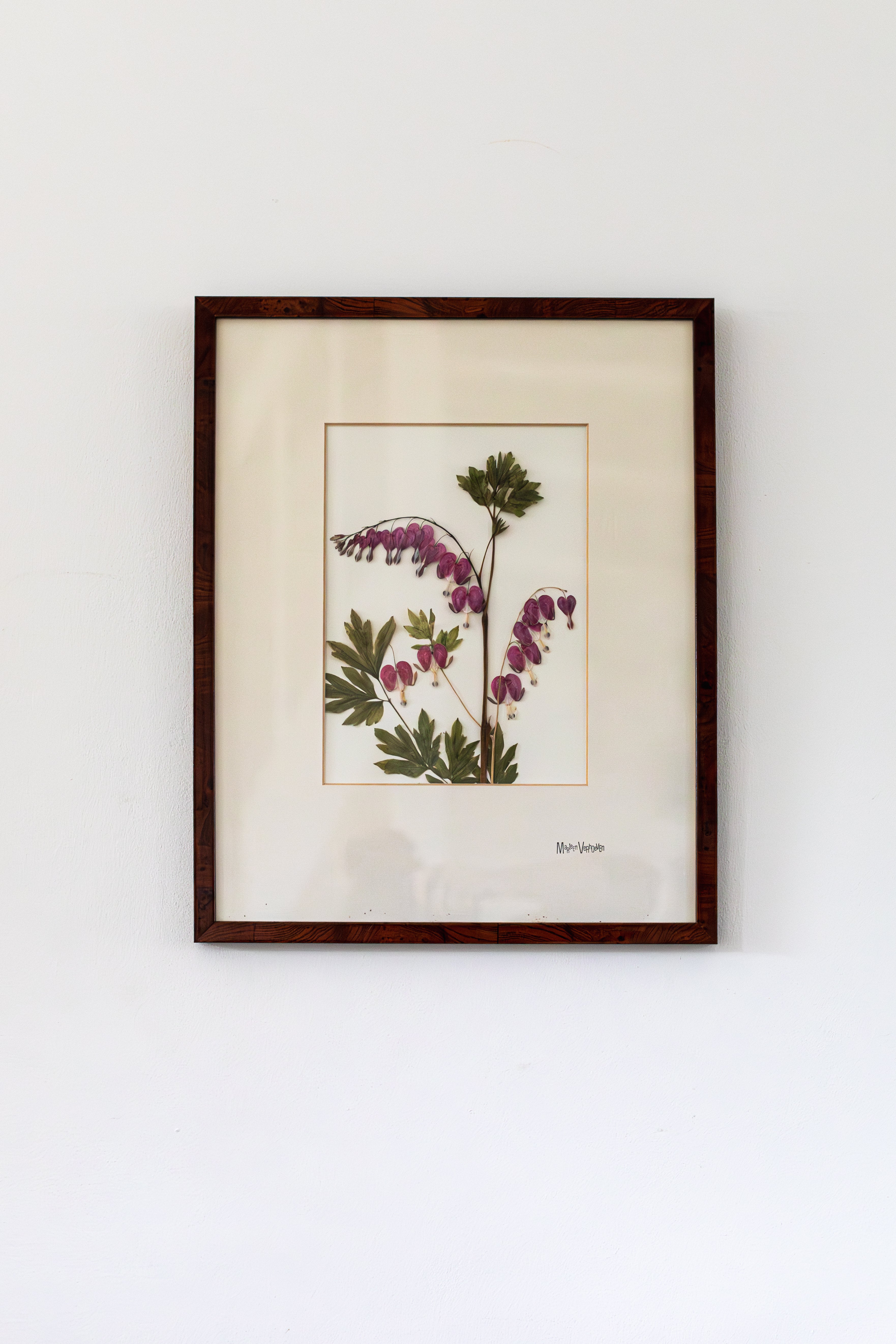 Afbeelding in Gallery-weergave laden, Dicentra spectabilis
