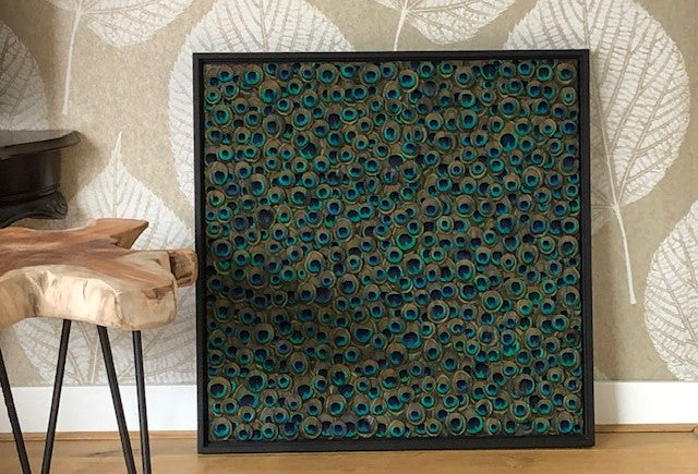 Afbeelding in Gallery-weergave laden, Pavo cristatus   NIEUW BAKLIJST
