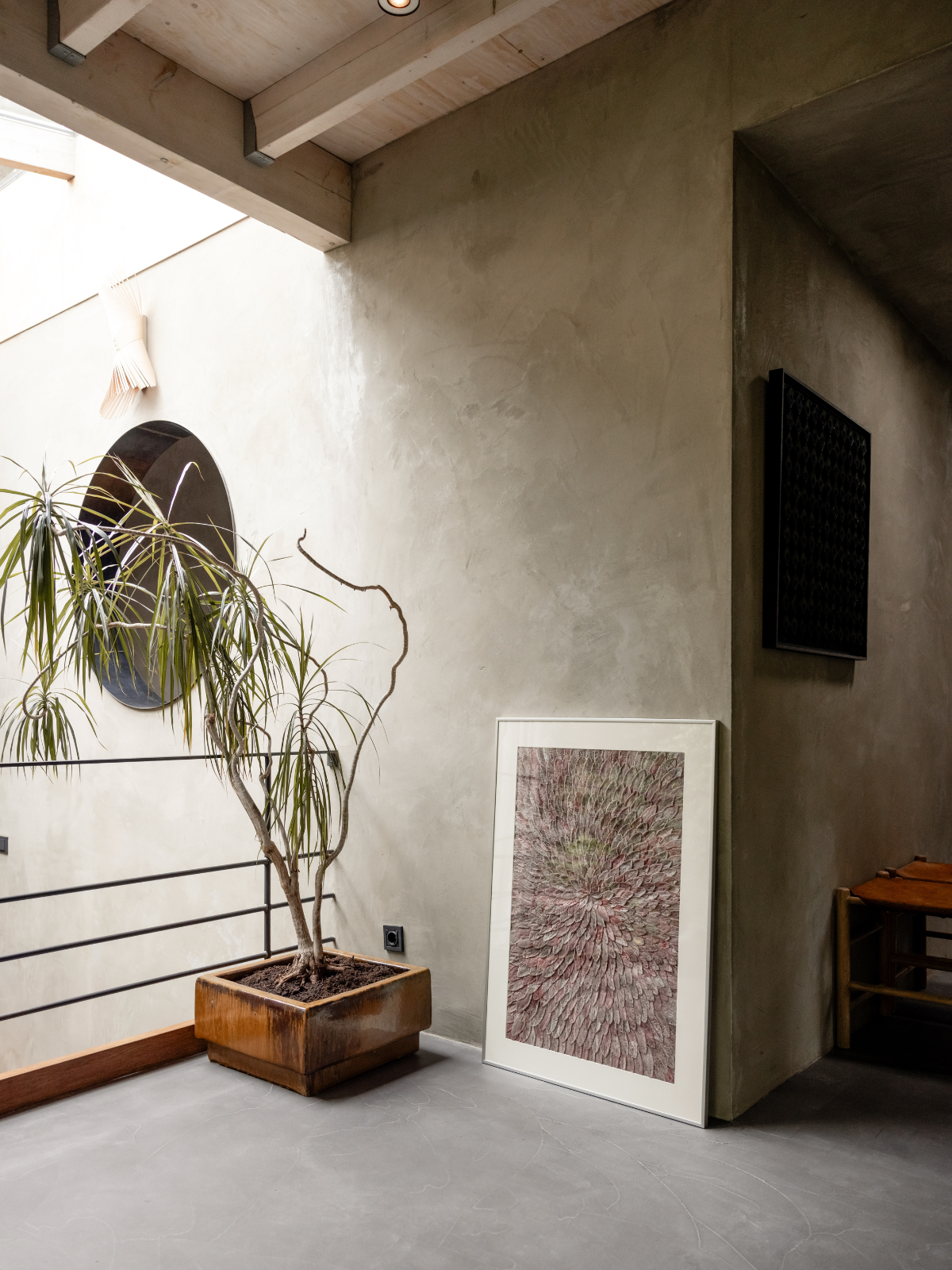 Afbeelding in Gallery-weergave laden, Stachys byzantina
