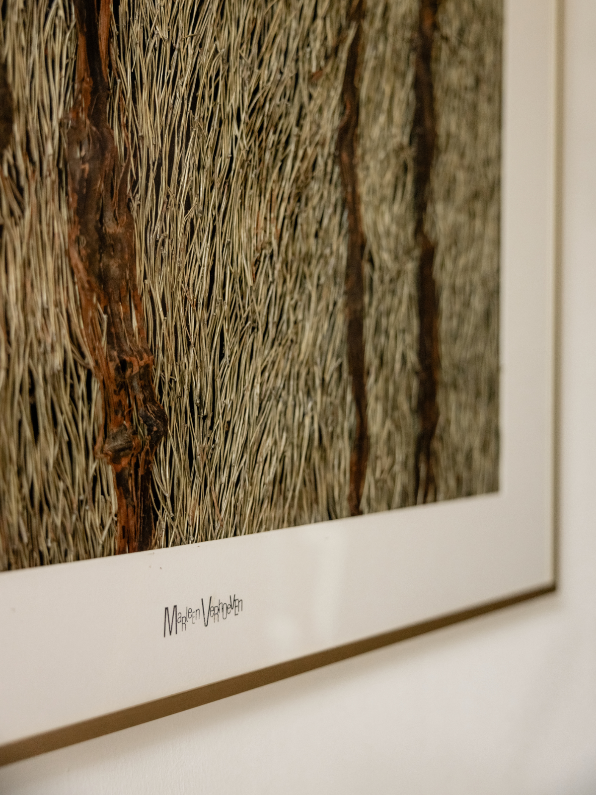 Afbeelding in Gallery-weergave laden, Dennennaalden
