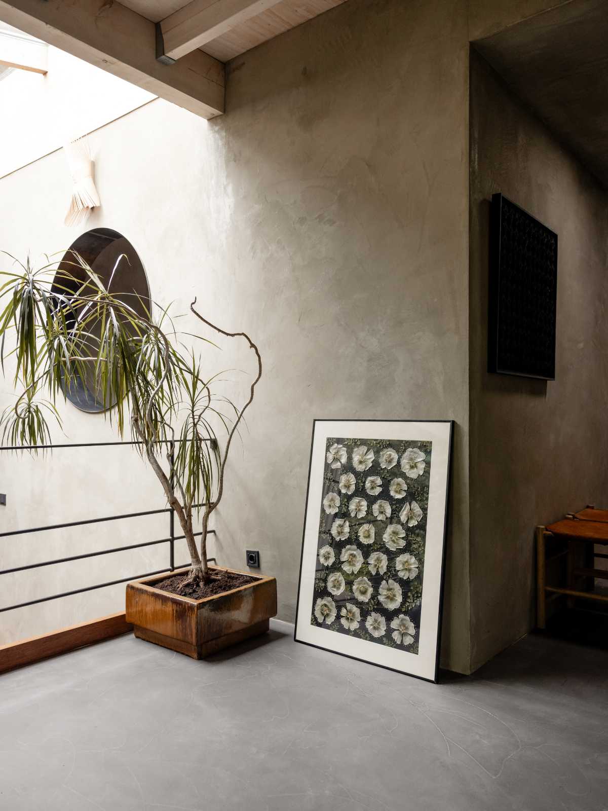 Afbeelding in Gallery-weergave laden, Alcea rosea
