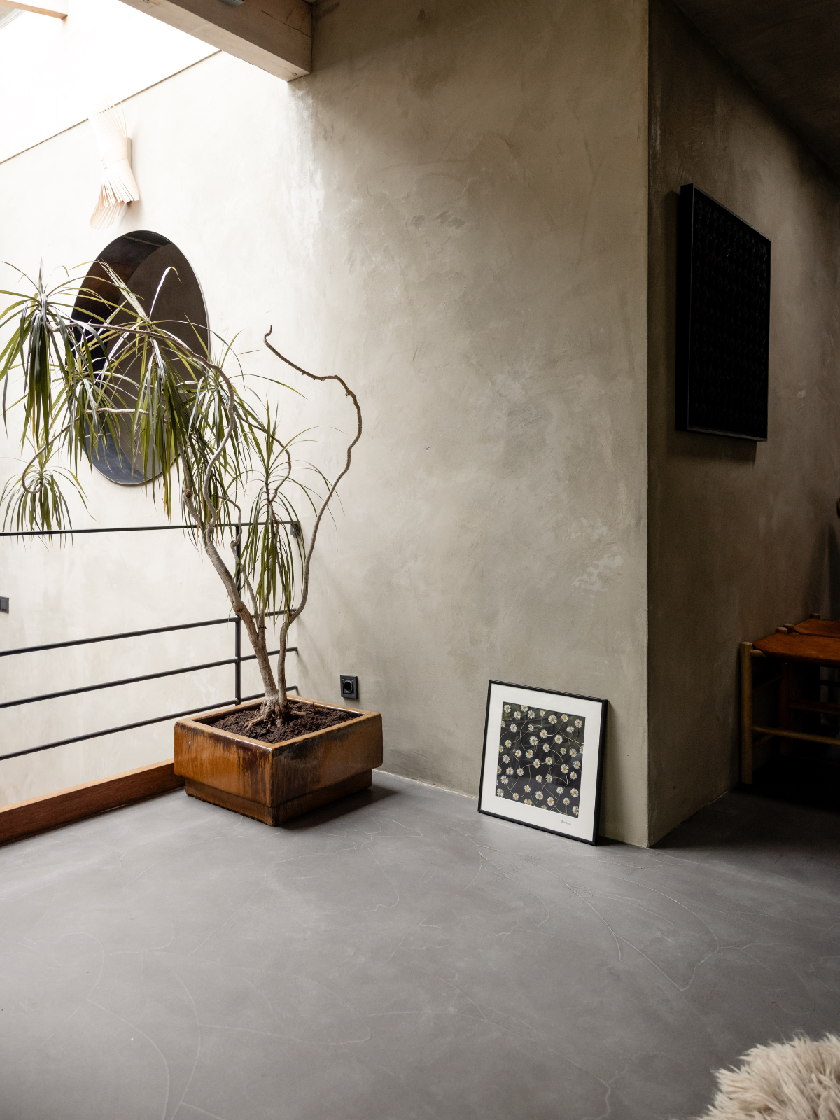 Afbeelding in Gallery-weergave laden, Bellis perennis

