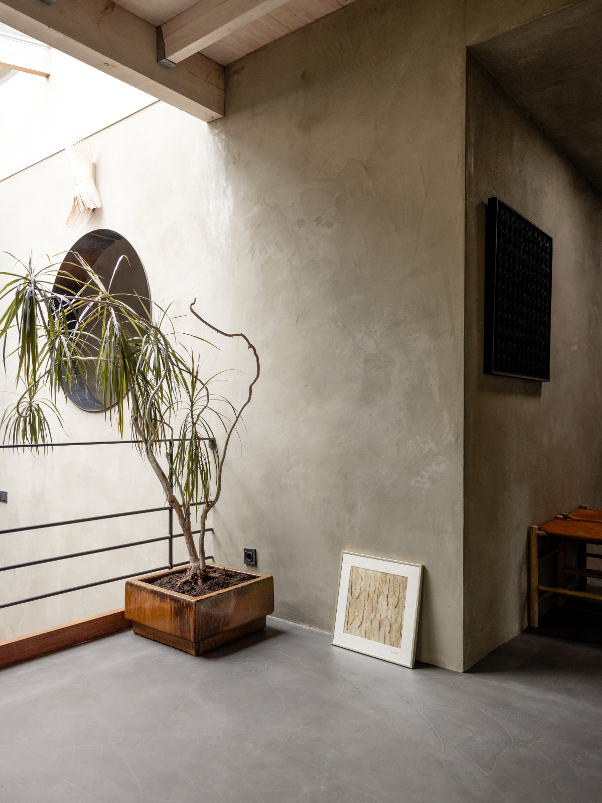 Afbeelding in Gallery-weergave laden, Magnolia x soulangeana
