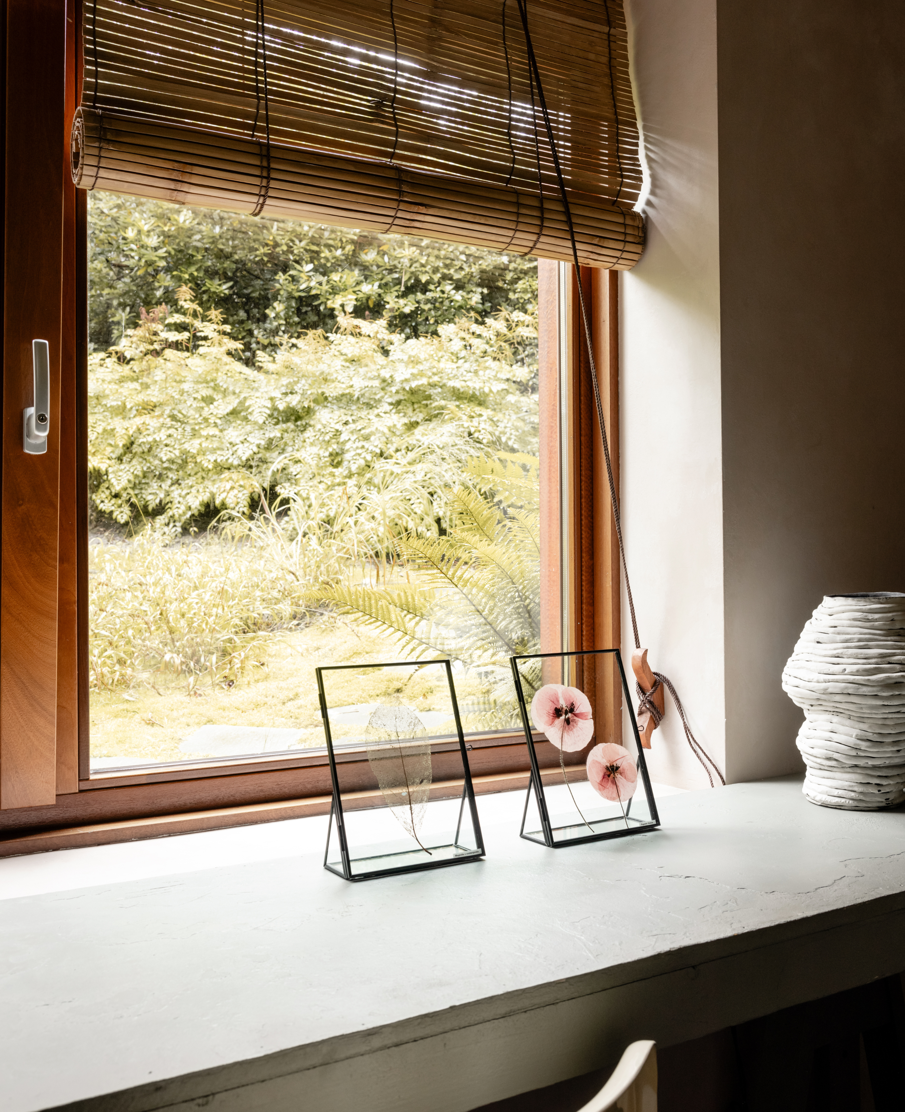 Afbeelding in Gallery-weergave laden, Magnolia x Soulangeana
