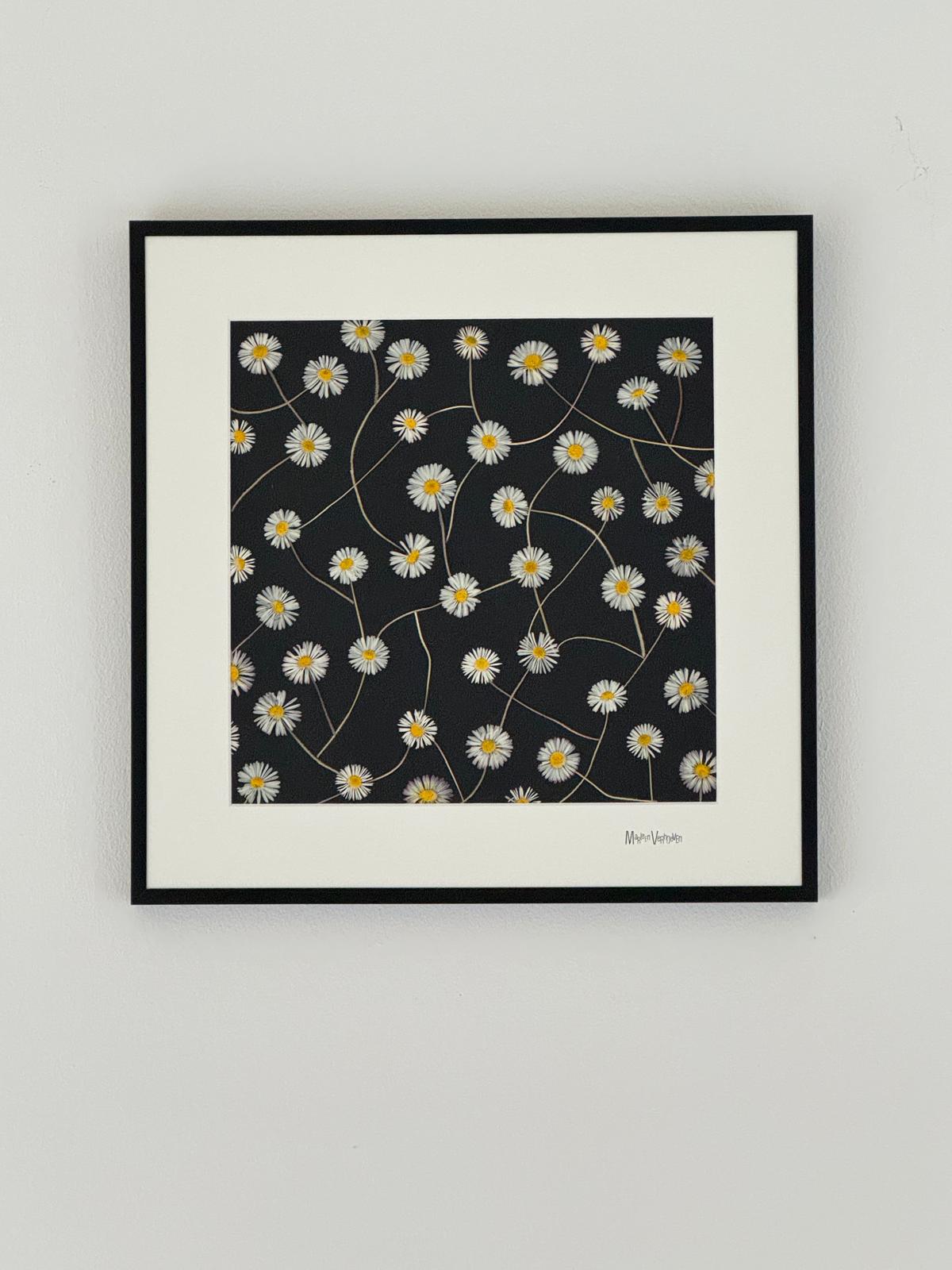 Afbeelding in Gallery-weergave laden, Bellis perennis
