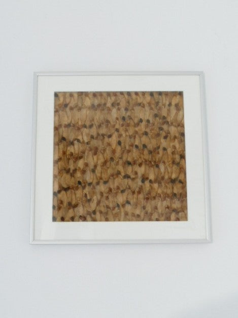 Afbeelding in Gallery-weergave laden, Acer pseudoplatanus
