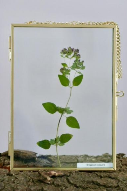 Afbeelding in Gallery-weergave laden, Origanum vulgare
